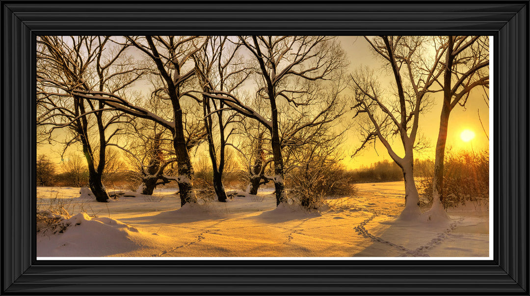 LS239 Trees in Winter at Dusk
