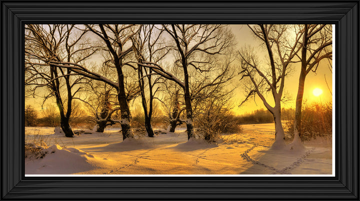 LS239 Trees in Winter at Dusk