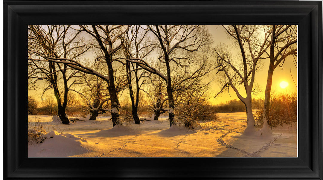 LS239 Trees in Winter at Dusk