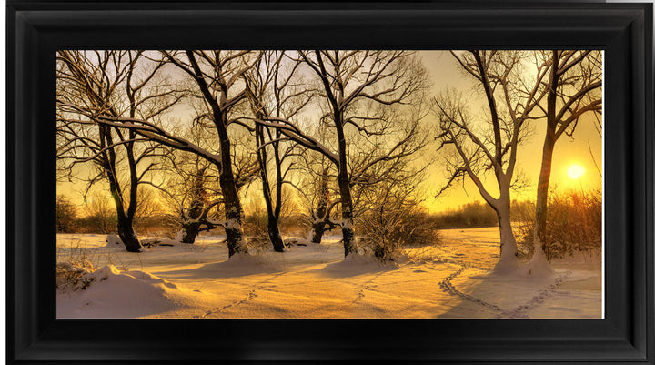 LS239 Trees in Winter at Dusk