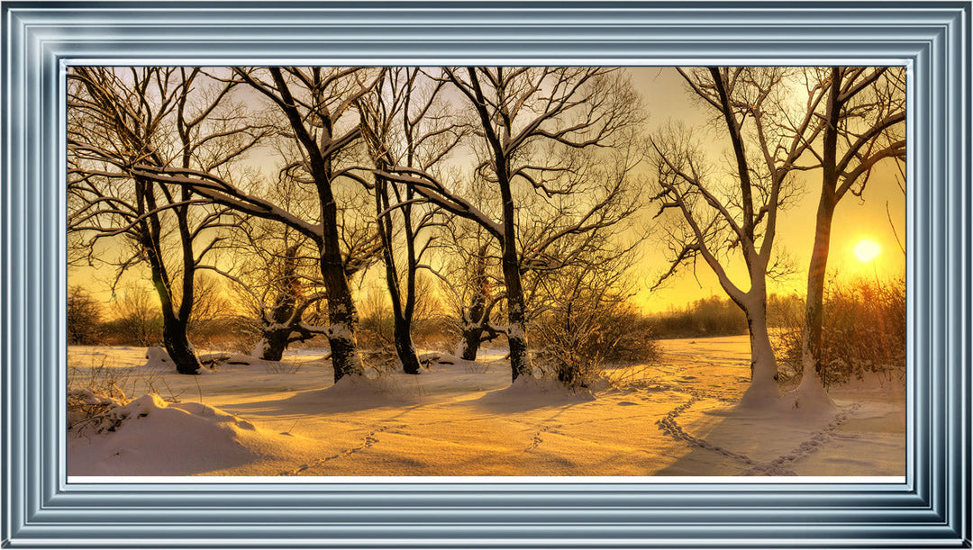 LS239 Trees in Winter at Dusk