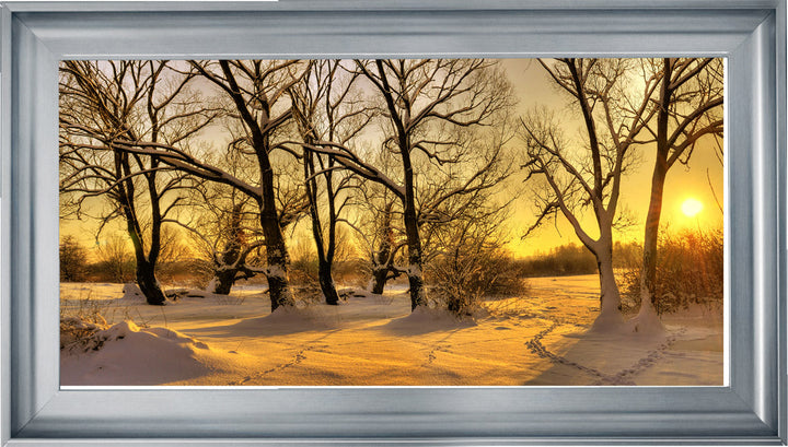 LS239 Trees in Winter at Dusk
