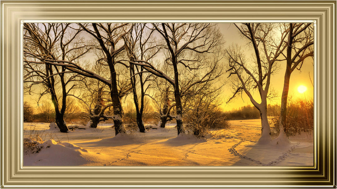 LS239 Trees in Winter at Dusk