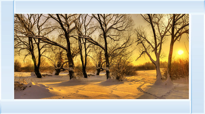 LS239 Trees in Winter at Dusk