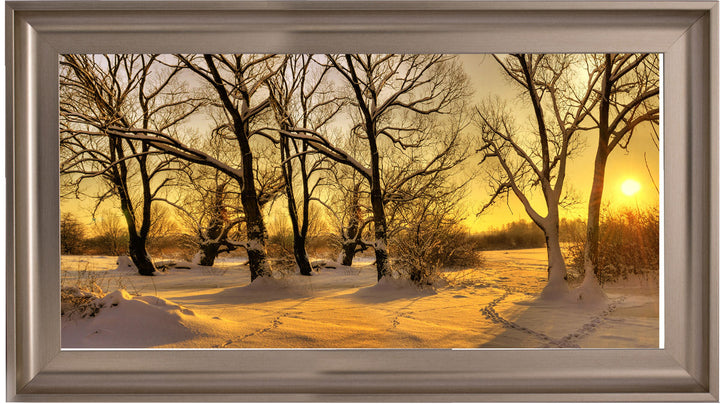 LS239 Trees in Winter at Dusk