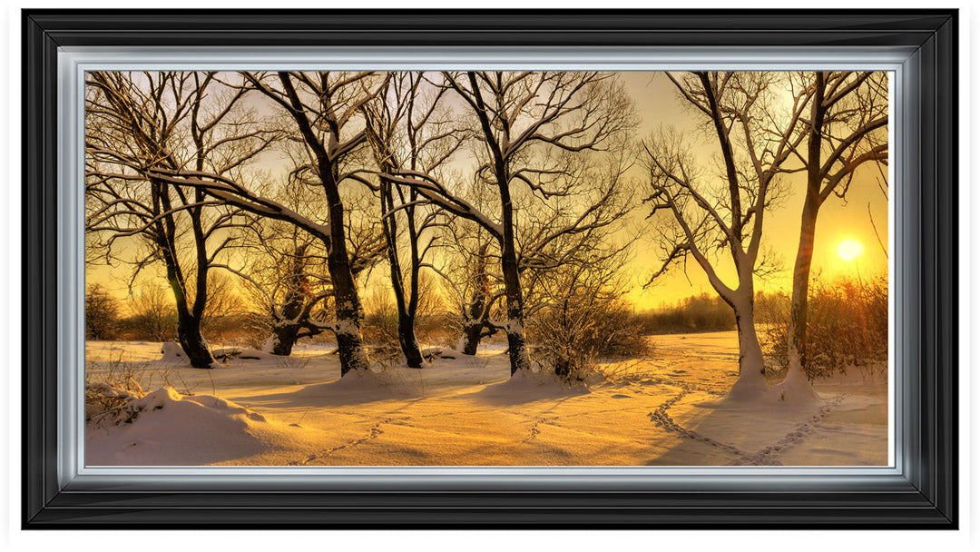 LS239 Trees in Winter at Dusk