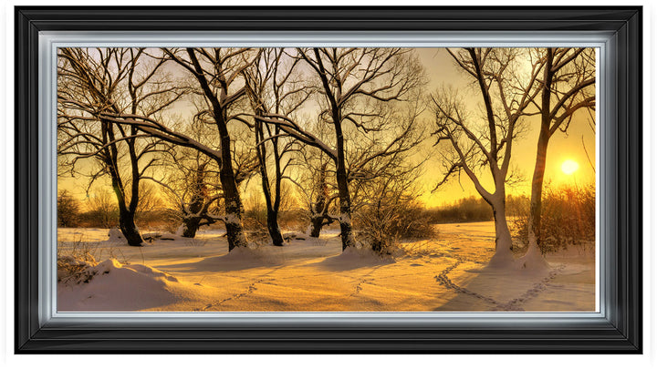 LS239 Trees in Winter at Dusk