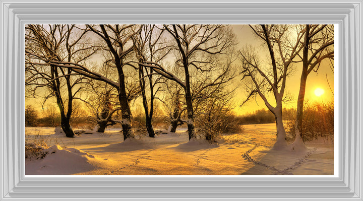 LS239 Trees in Winter at Dusk