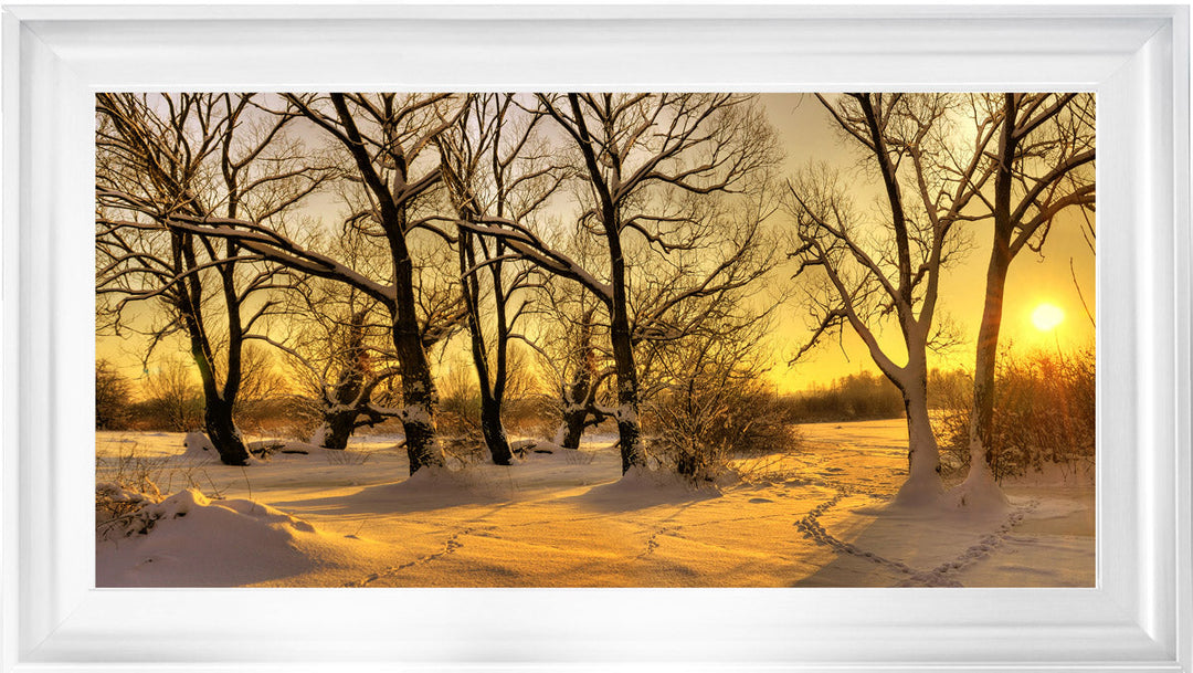 LS239 Trees in Winter at Dusk