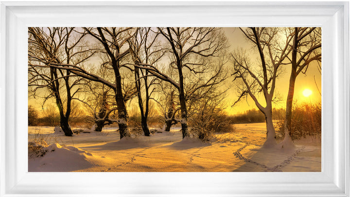 LS239 Trees in Winter at Dusk