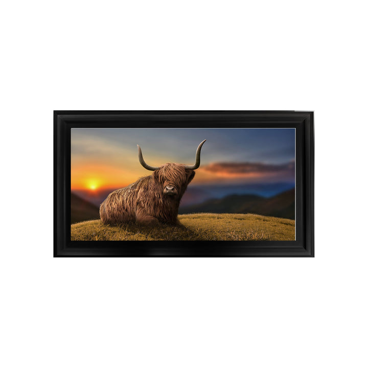 Highland Cow Sunset