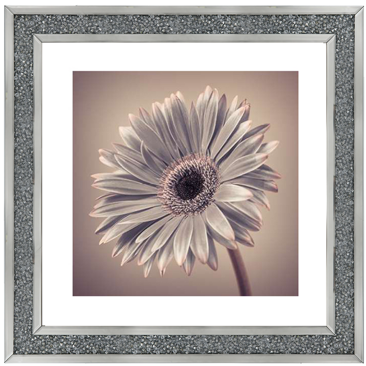 FL014 Pink Gerbera 2