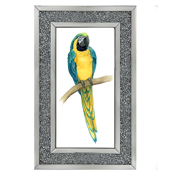 Teal Macaw II