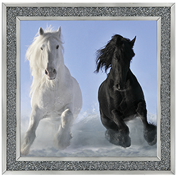 Salt And Pepper
