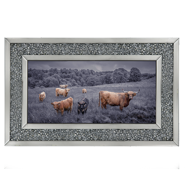 Highland Cows Black & White