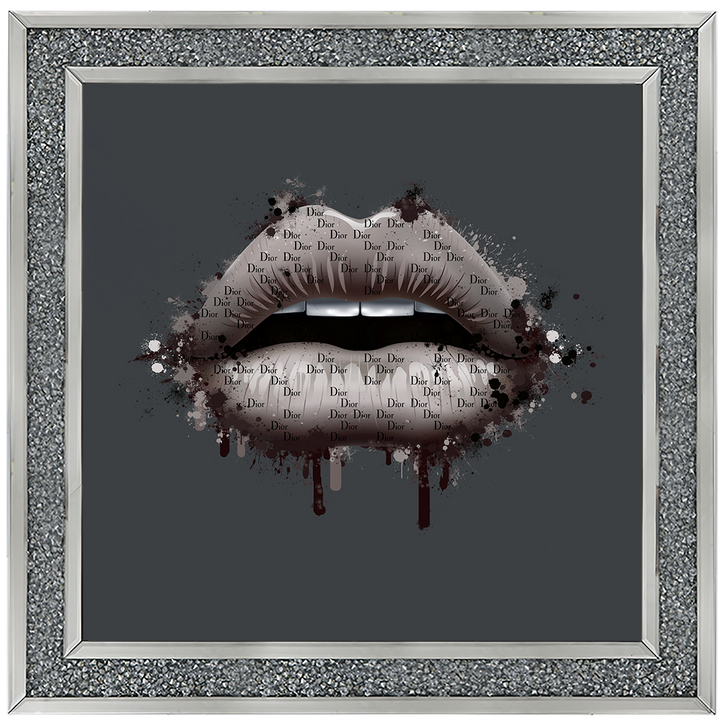 FS299 Fashion lips I