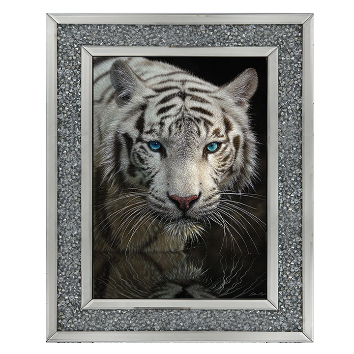 White Tiger - Into the Light