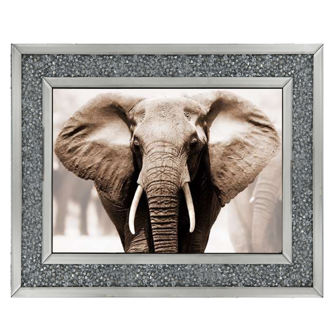 AN071 African Elephant