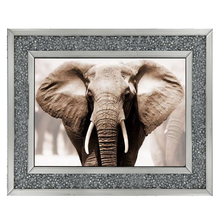 AN071 African Elephant