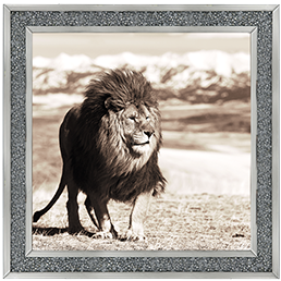 AN046 African Animals Series - Lion A