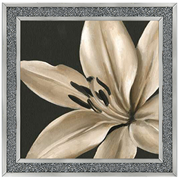 FL037 Classical Blooms III