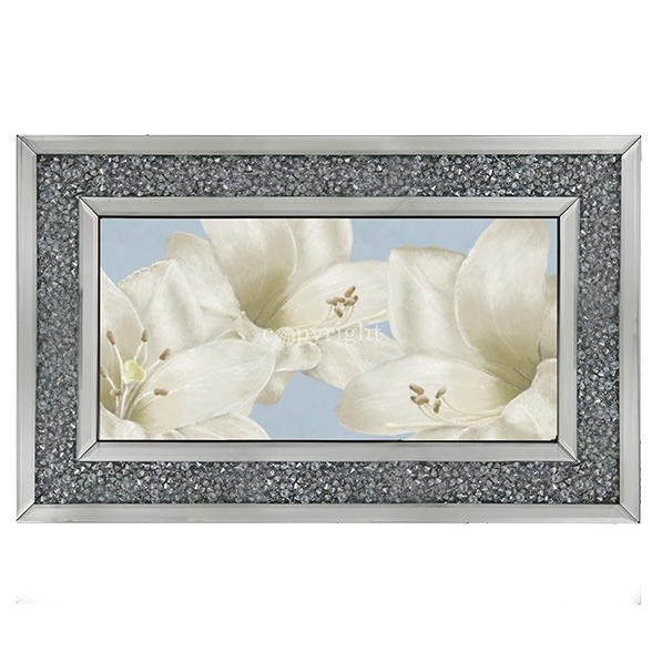 White Amaryllis III