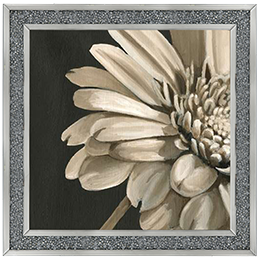 FL038 Classical Blooms IV