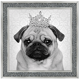 AN056 Pug