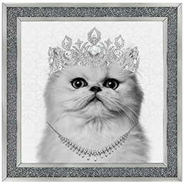 Cat AN057