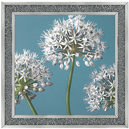 FL043 Three Alliums