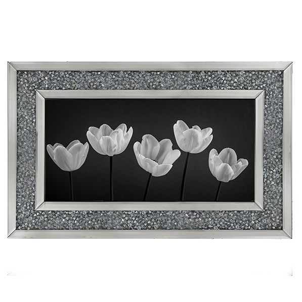 Five Tulips in a row