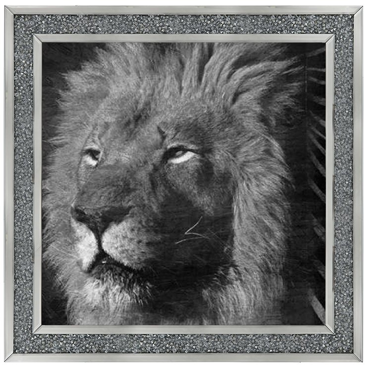 AN047 Animal Instincts Black And White