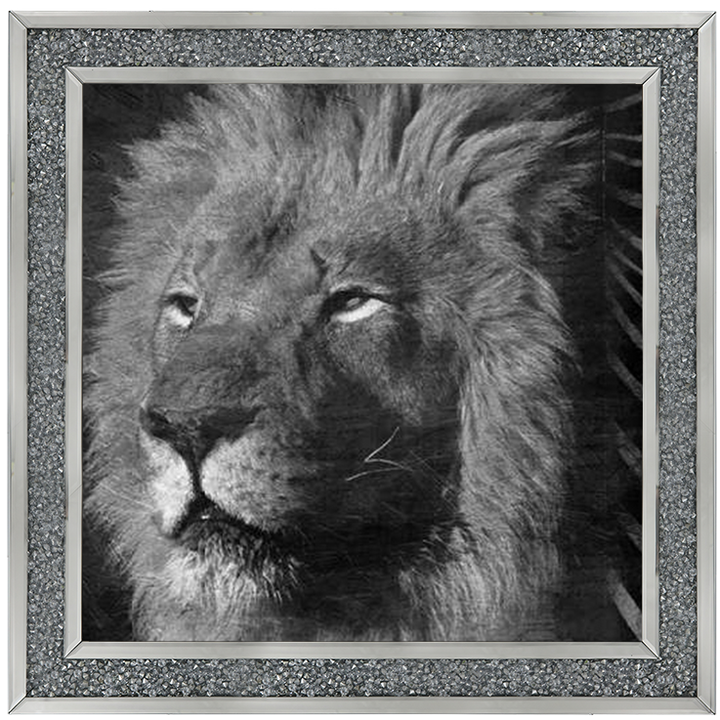 AN047 Animal Instincts Black And White