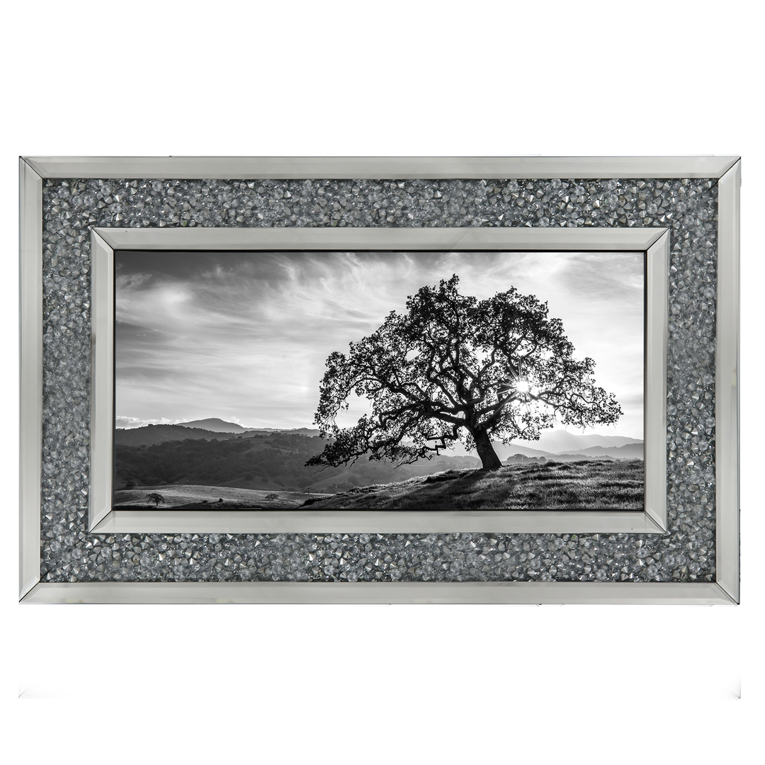 Lone tree black and white