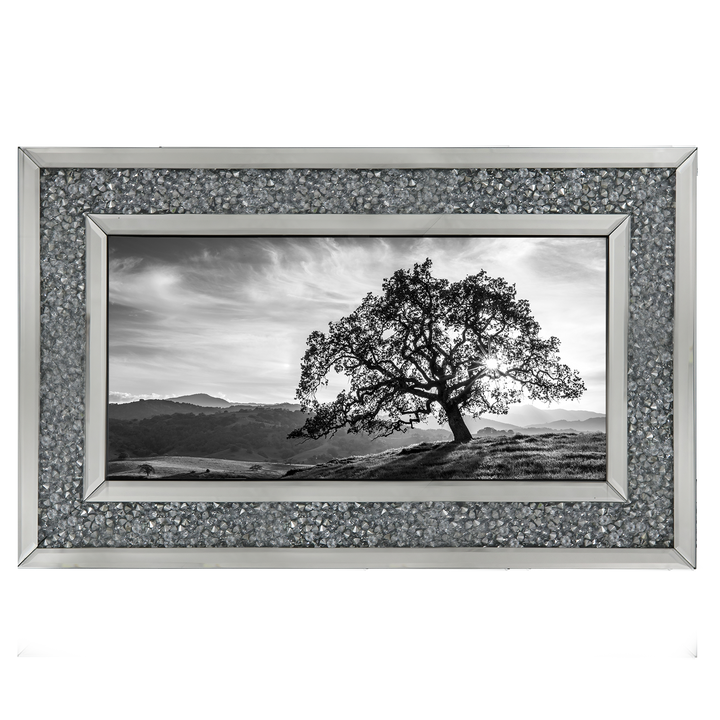 Lone tree black and white