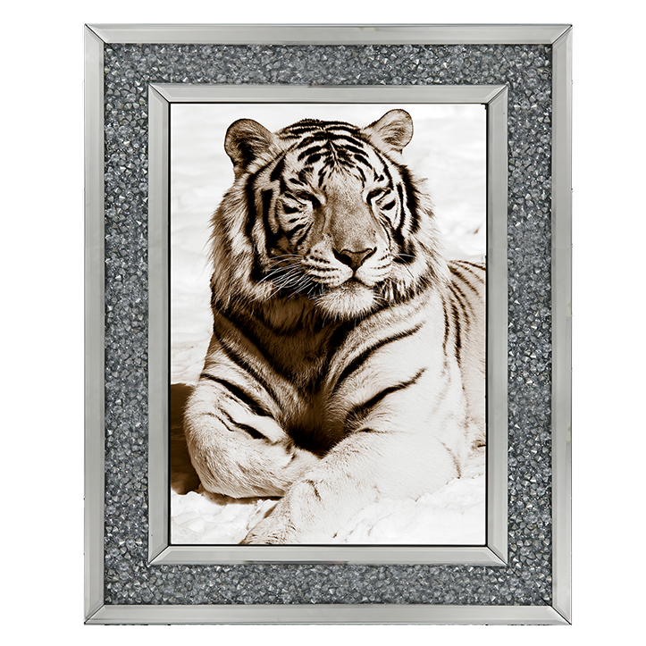 AN043 African Animals Series - Tiger A