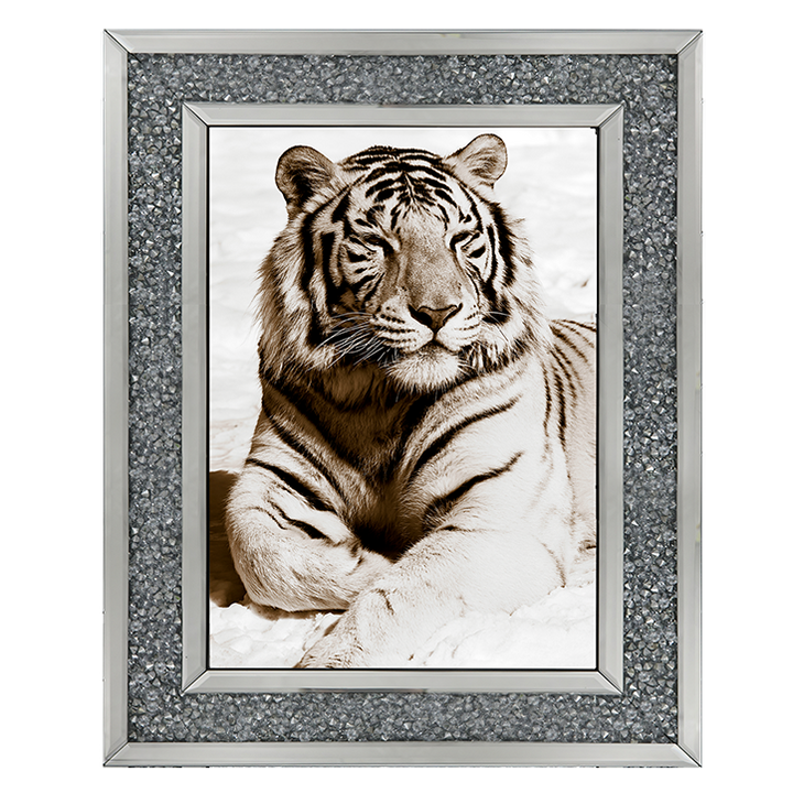 AN043 African Animals Series - Tiger A