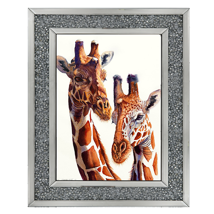 Safari Giraffes