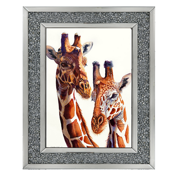 Safari Giraffes
