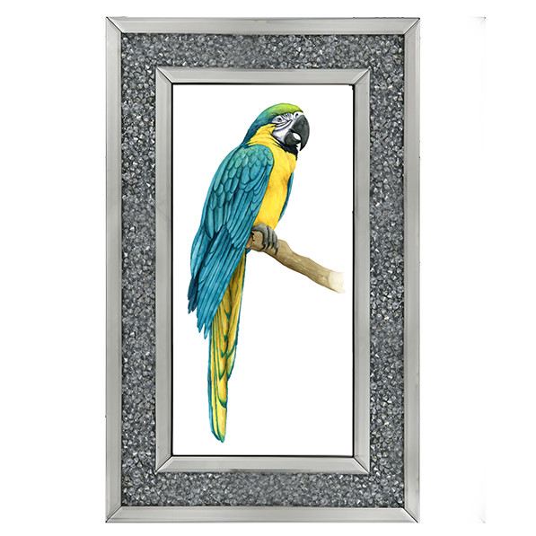 Teal Macaw I