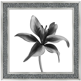 FL012 Lily