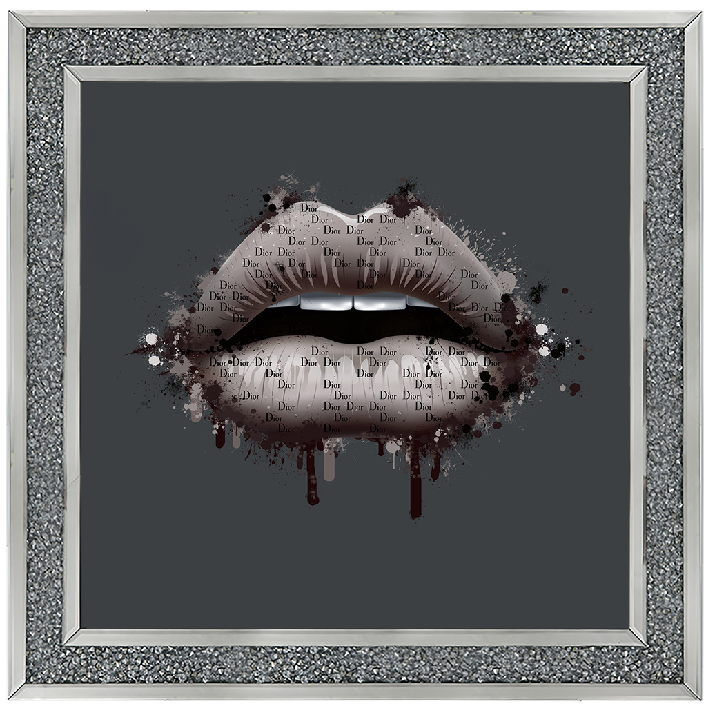 FS299 Fashion lips I