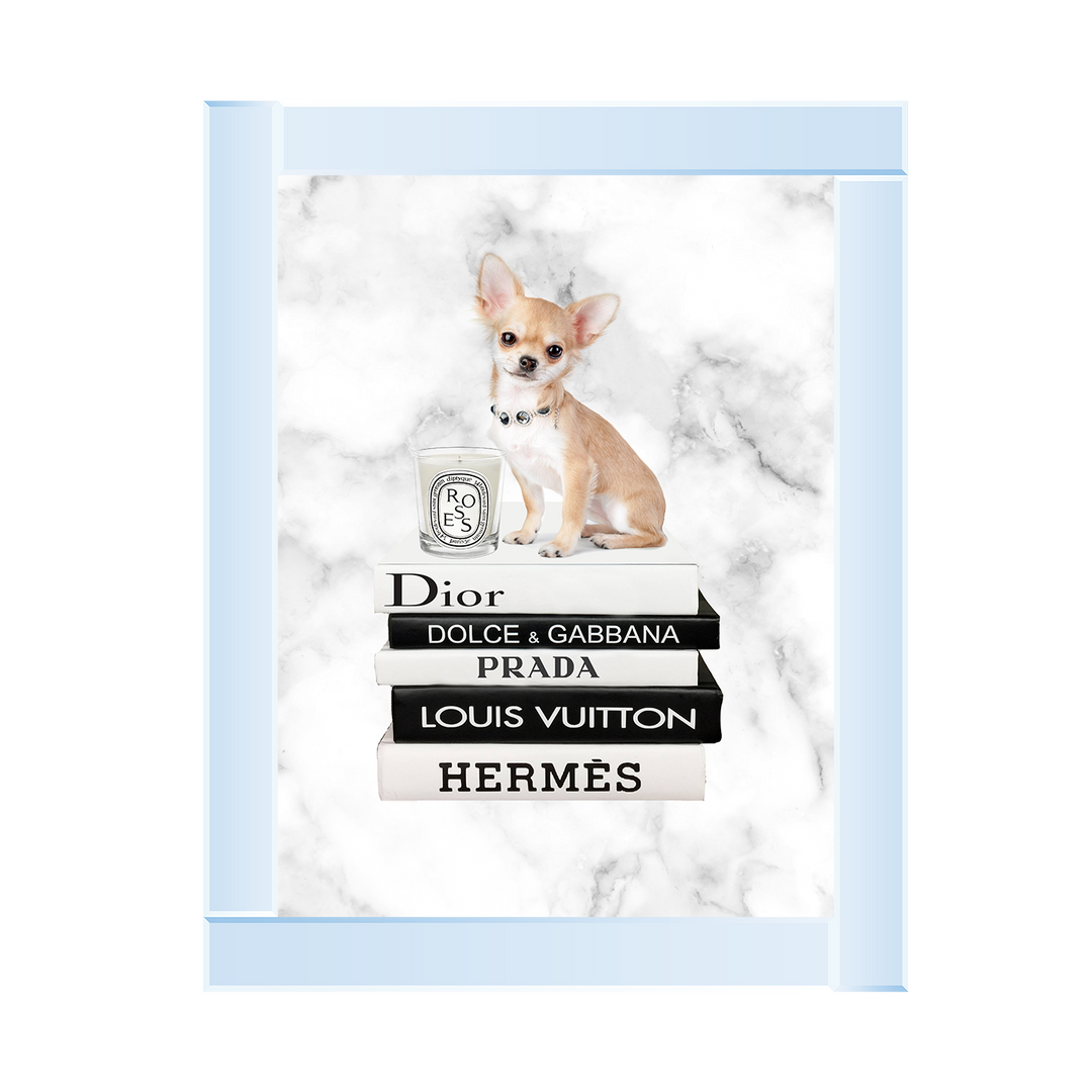 FS256 Fashion books VI