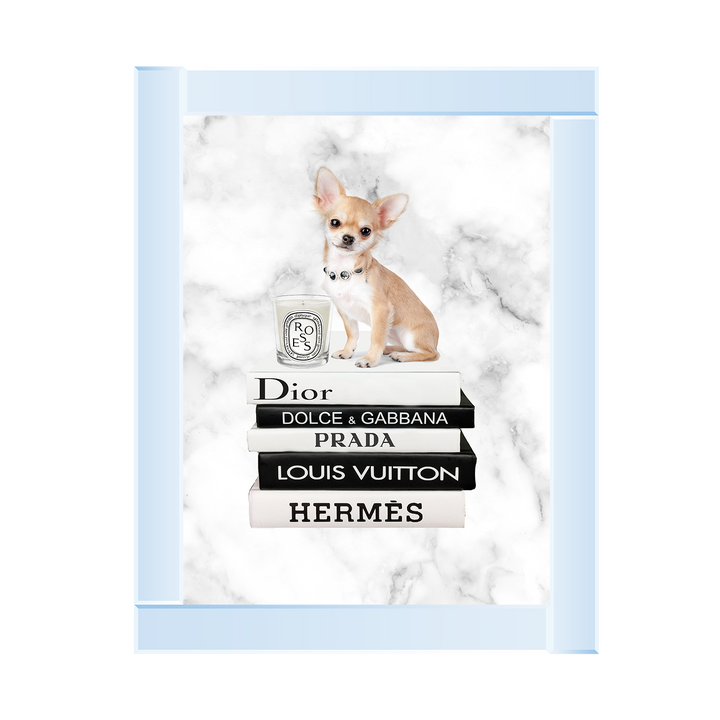 FS256 Fashion books VI