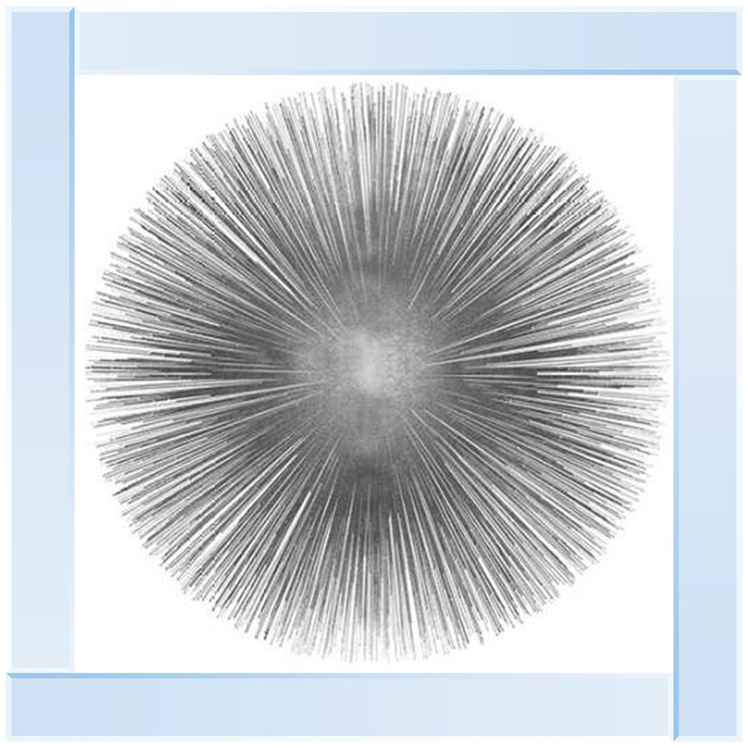 MD002 (AY112556) Silver Sunburst 1