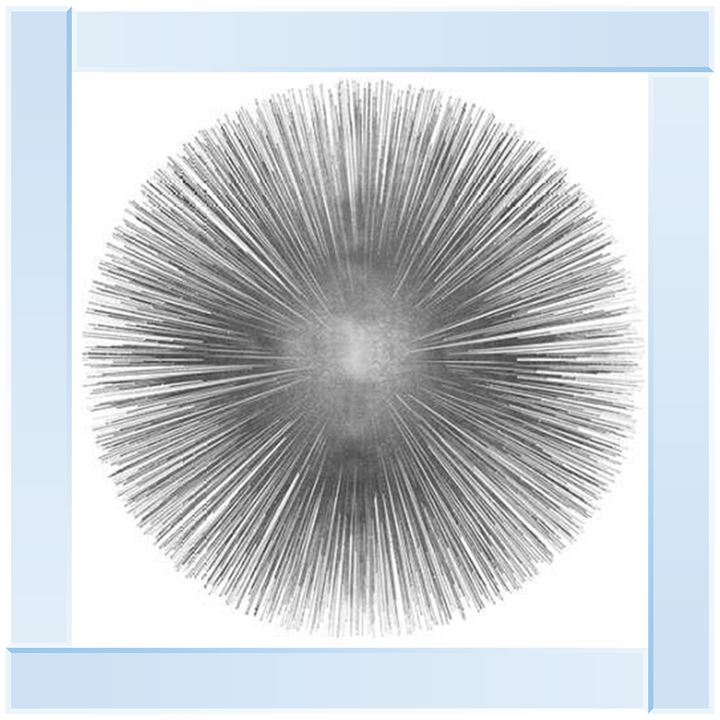 MD002 (AY112556) Silver Sunburst 1