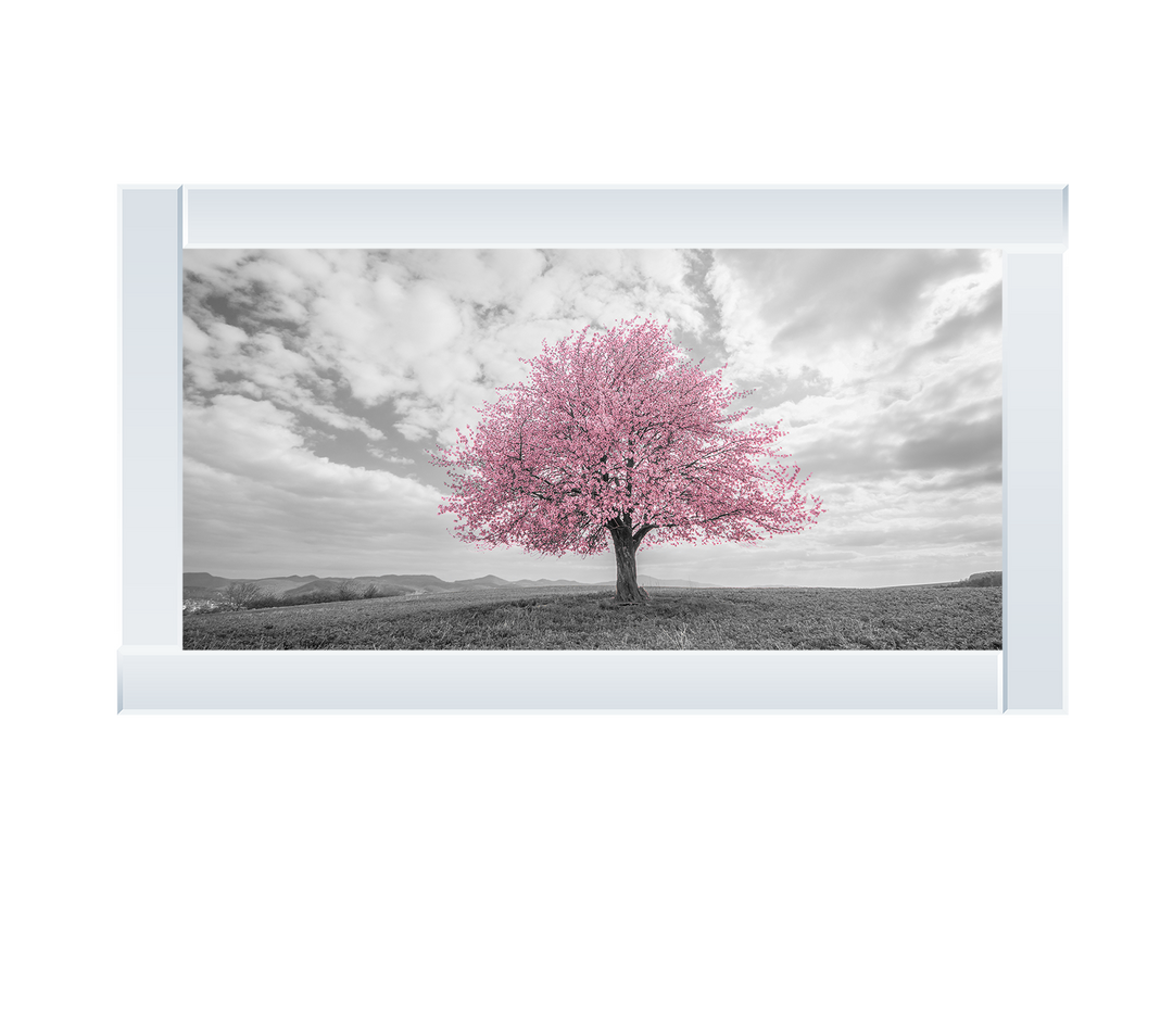 Pink tree