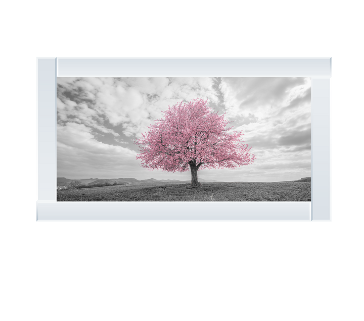 Pink tree