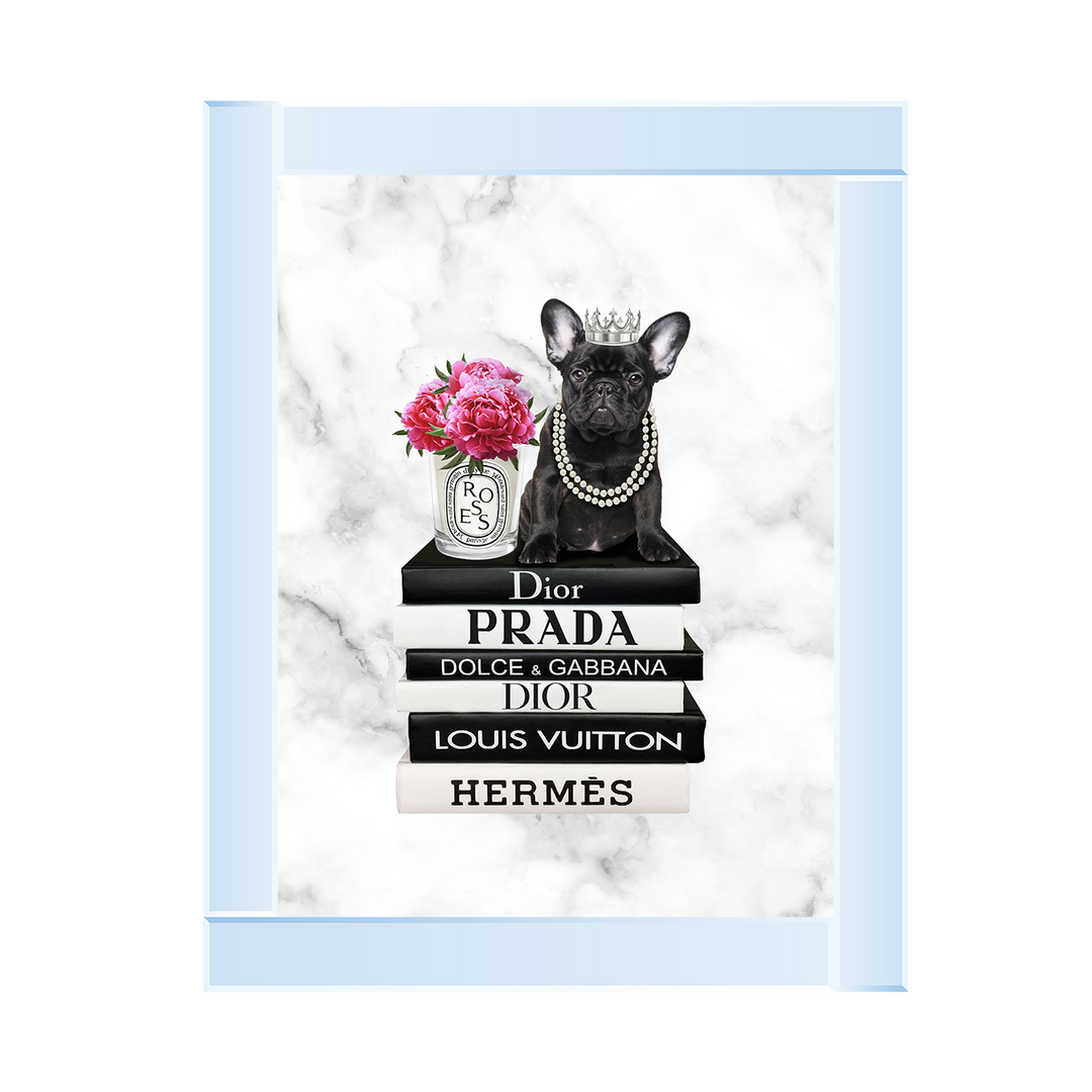 FS255 Fashion Books V