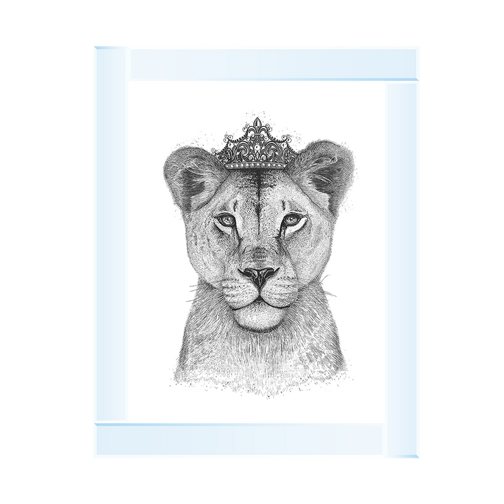 Queen Lioness